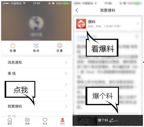 爆料视频在哪找,深度解析事件始末  第1张